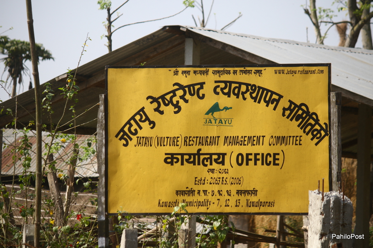चितवनका ६ पोथी गिद्ध पुग्दैछन् जटायु रेस्टुरेन्टमा