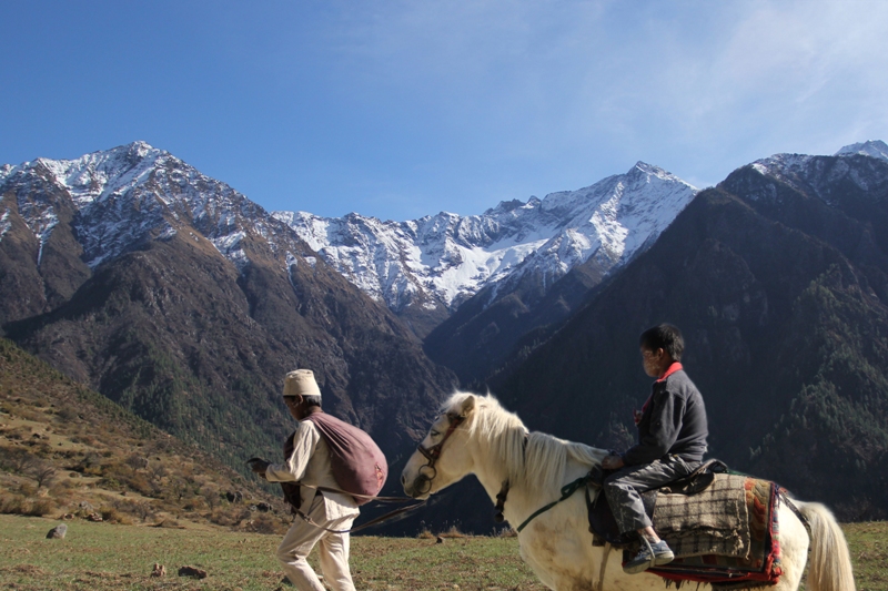 कालो पोथीका लागि फ्रान्सेली कम्पनीले गर्‍यो १४ करोडमा पाइरेसी बिमा  