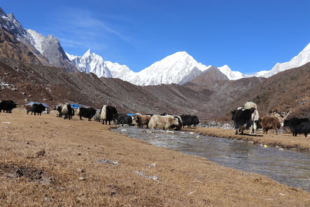 मनाङवासीको गुनासो : स्वर्गको टुक्रा हेर्न यसपाली कोही आएनन्
