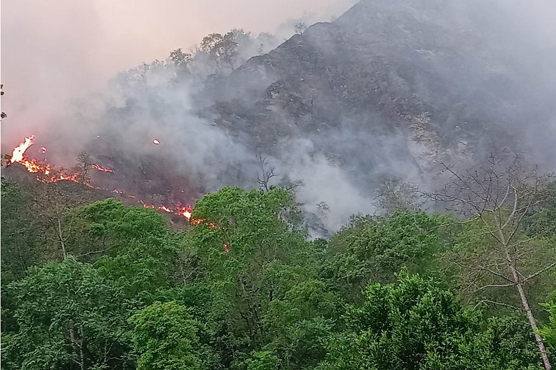 म्याग्दीमा डढेलोबाट ७० हेक्टर वन क्षेत्र क्षति, आगो बस्तीमा पस्ने त्रासले नियन्त्रणमा जुटे स्थानीय