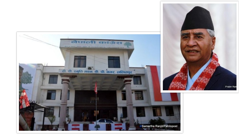 कांग्रेसको केन्द्रीय महिला विभागमा एक सचिव र ३७ सदस्य मनोनित, को को परे?