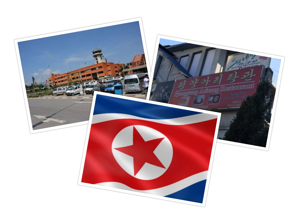 उत्तर कोरियालीको गैर कानुनी कारोबार : रेस्टुराँ र हस्पिटलसँगै जासुसीको जालो