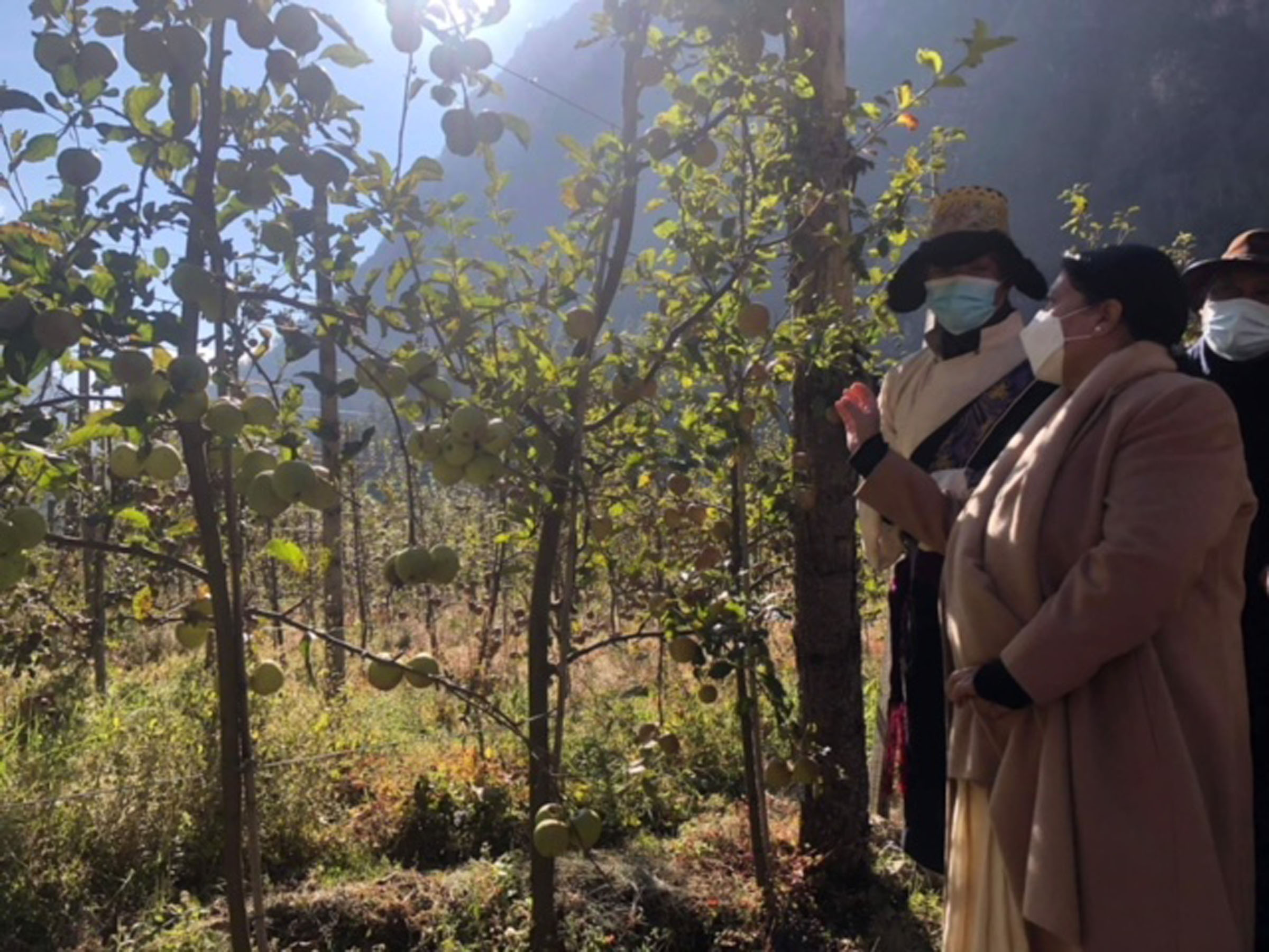 मनाङको स्याउ फार्म अवलोकन गर्न पुगिन् राष्ट्रपति भण्डारी, उठाइन् जलवायु परिवर्तनको मुद्दा