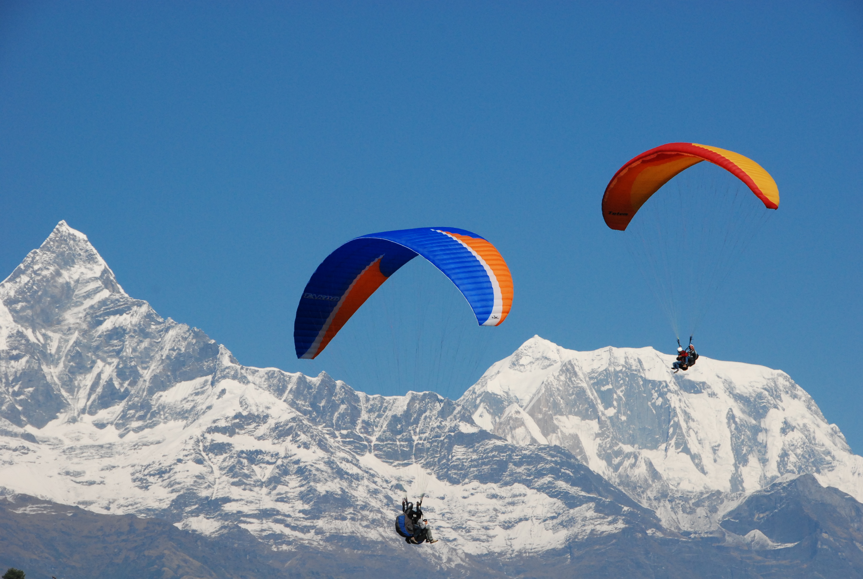 हावाहुरीका कारण ७ प्याराग्लाइडर फेवातालमा खसे, १४ जनाको सकुशल उद्दार