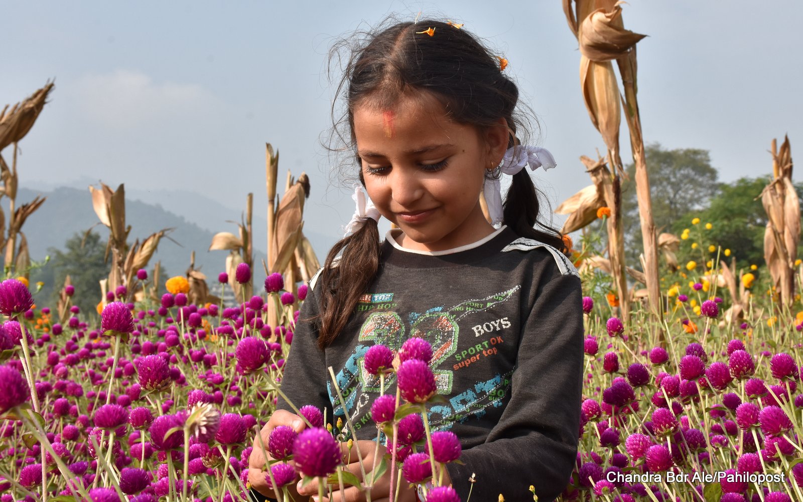 तिहारमा भक्तपुरको एउटै गाउँबाट तीन करोडको फूल बिक्री 