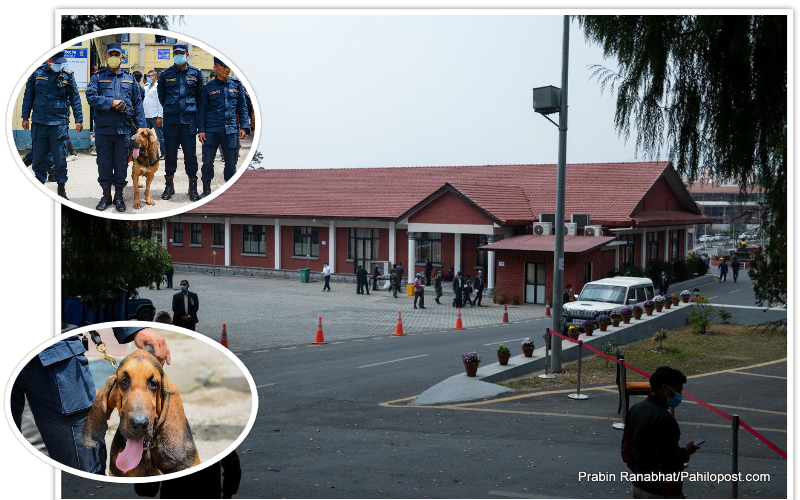 प्रधानमन्त्री निवासमा कुकुरको दरबन्दी तर छैन खटाइएको : 'ब्लड हाउन्ड'को अनुसन्धान प्रभावकारी 