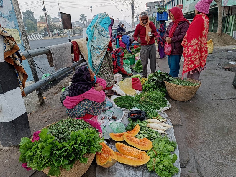 ७४ वर्षीय मोतिलालको जोस : तरकारी खेतीबाट मनग्य आम्दानी