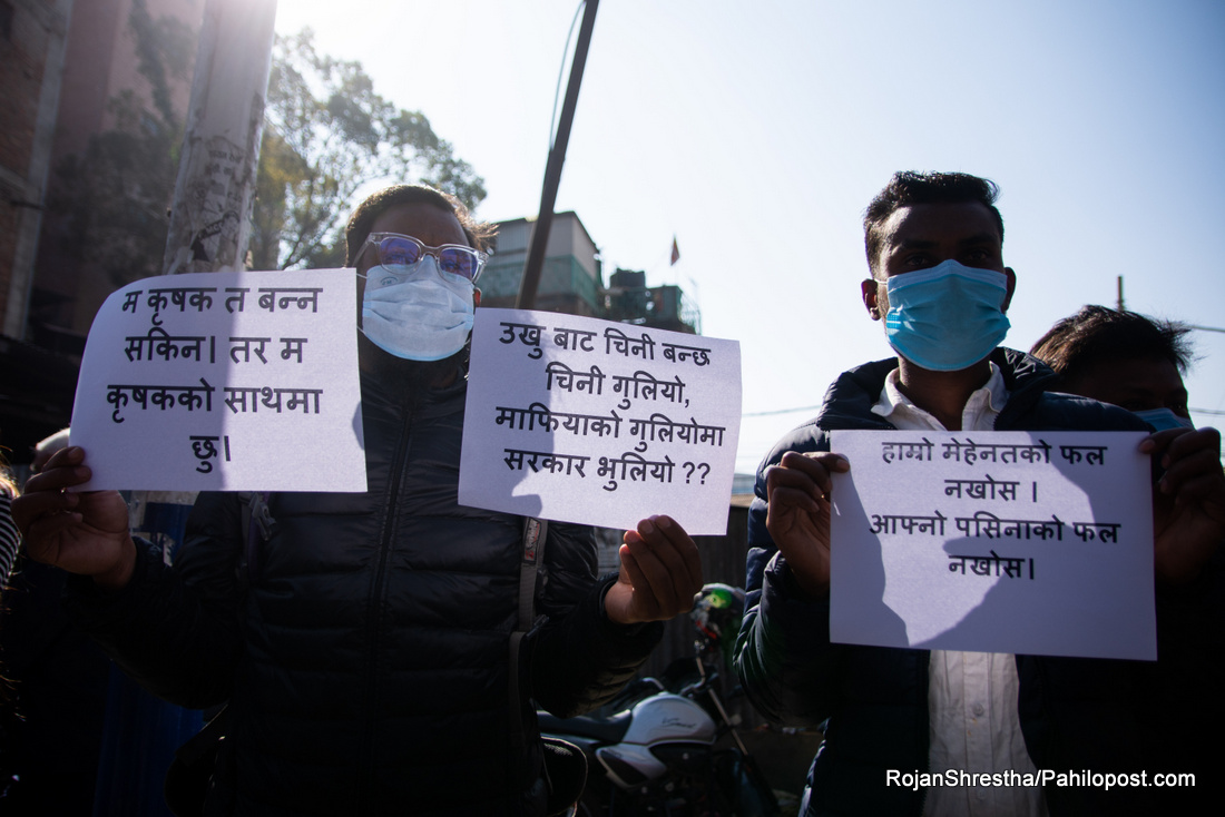 न्याय माग्दै फेरि काठमाडौं आए उखु किसान, 'माफियाको गुलियोमा सरकार भुलियो'