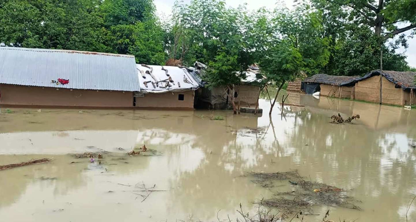 गाउँ पस्यो महाकाली नदीको बाढी, भीमदत्त नगरपालिकाका १५ घर डुबानमा