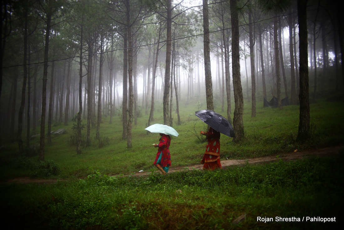 पहाडी भू-भागमा पानी पर्ने र तराईमा हावाहुरी आउने सम्भावना