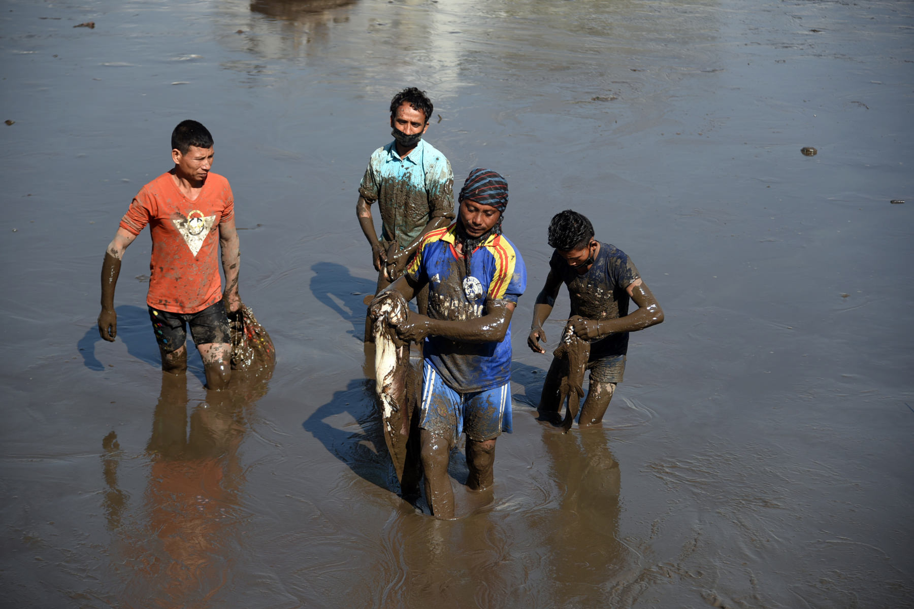 रानीपोखरी सुकाइएपछि माछा कमलपोखरीमा, ४ सय वर्षपछि जलविहीन भयो रानीपोखरी