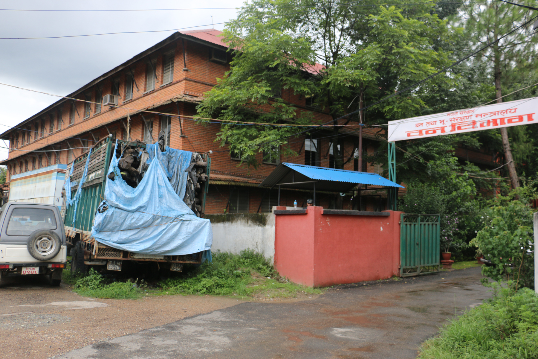 २ लाख किलो रक्तचन्दन कुहिँदै, किन गरिएन व्यवस्थापन ?