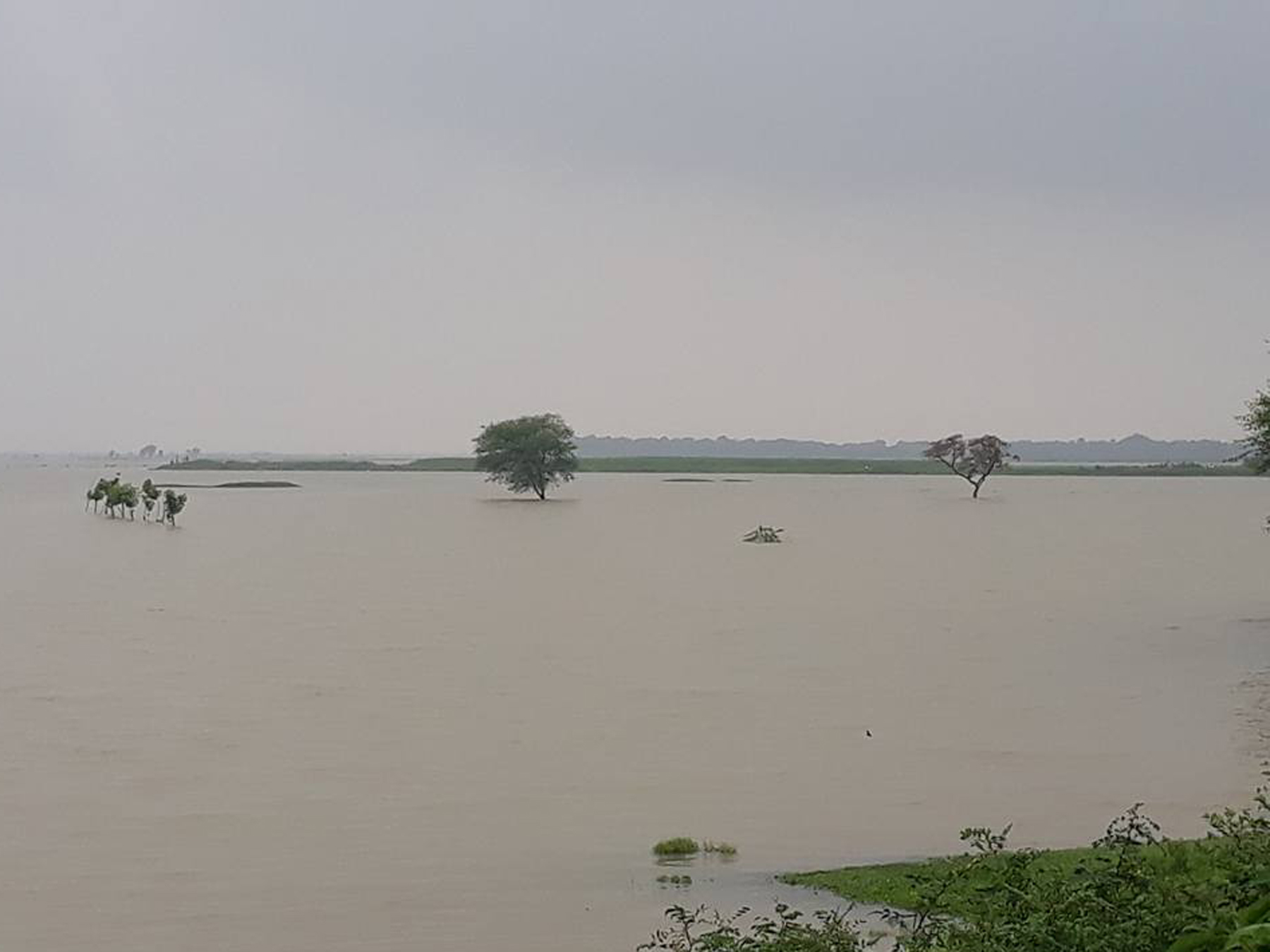 बाढी पहिरोमा परी २० भन्दा बढीको मृत्यु, पूर्वाञ्चल बढी प्रभावित