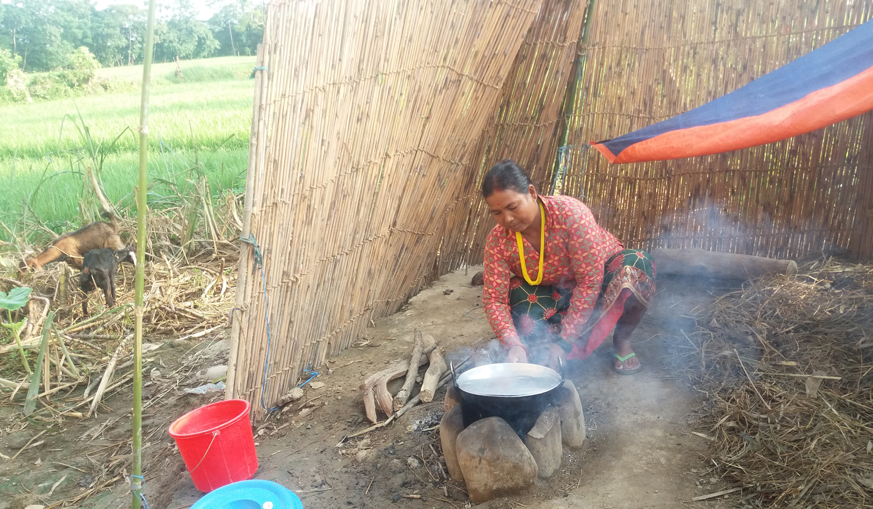 चितवनका बाढीपीडित भन्छन्ः ज्यान त बाँच्यो, गाँसबास छैन