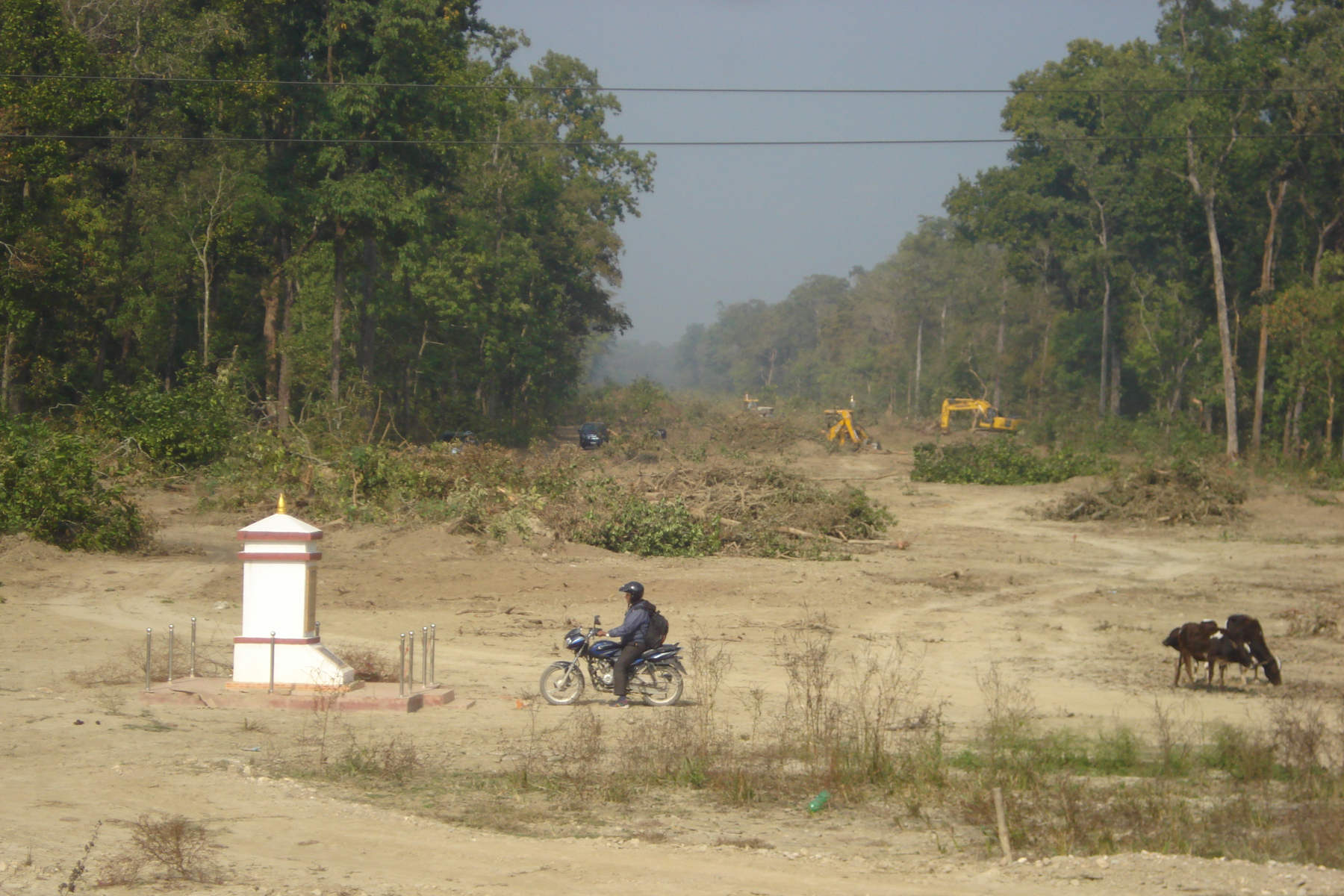  निकुञ्जका जनावरलाई अवरोध नहुने गरी द्रुतमार्ग निर्माण गर्न सेनालाई सुझाव