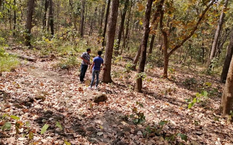 लकडाउनको मौका छोपी सक्रिय भए काठ र वन्यजन्तु तस्कर, बन कार्यालयले अपनायो नयाँ रणनीति