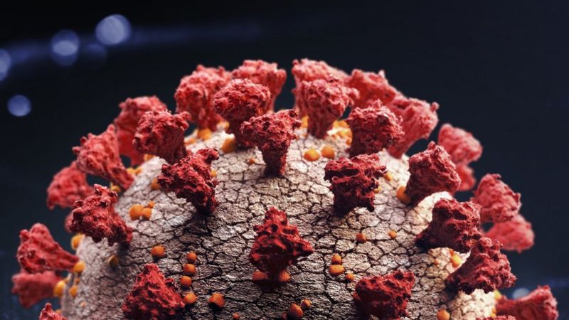 २५ वर्षीय युवकमा दोस्रो पटक कोभिड-१९ पुष्टि, दुर्लभ मानिएको पुन: संक्रमण कति जोखिमपूर्ण?