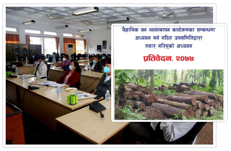 सरकारी अधिकृत नै काठ व्यापारीसँग मिलेर वन फडानीमा संलग्न, कारबाही गर्न लेखाको उपसमितिको सिफारिस