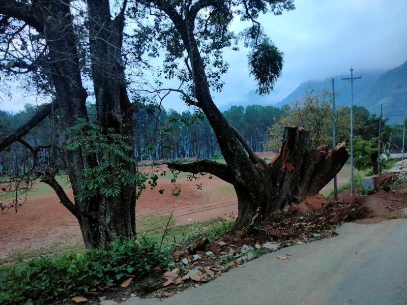 चौतारी, पोखरी र वर-पीपल संरक्षणमा जुट्दै जैमिनी नगरपालिका