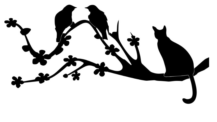 बिरालोको ज्यानमारा पकड, कोही पनि बाँकी राखेन!