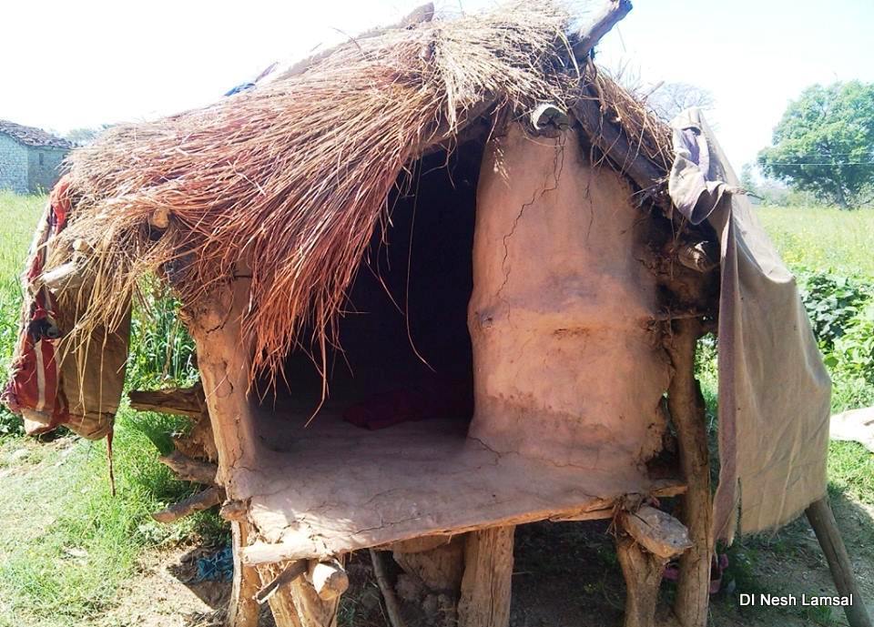 कञ्चनपुरमा छाउपडी गोठ भत्काउने अभियान सुरु