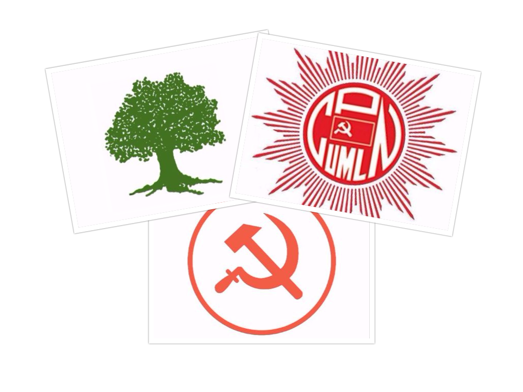 स्थानीय निर्वाचनः एमाले २८, कांग्रेस २३ र माओवादी १३ स्थानमा विजयी