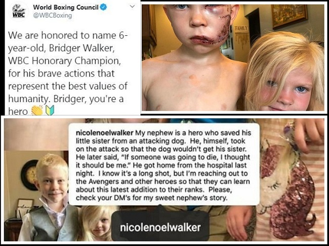 विश्व बक्सिङ परिषदले ६ वर्षे बालकलाई किन दियो मानार्थ विश्व च्याम्पियनको सम्मान?