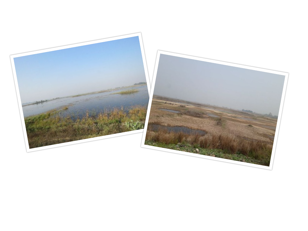 'चराको स्वर्ग' जगदीशपुर जलाशयको बिजोग, पानी सुकाएर क्रिकेट र फुटबल खेल्दै स्थानीय 