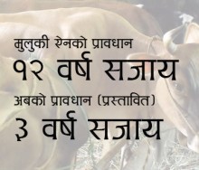 ​गाईगोरु मार्नेलाई सजाय घटाउने तयारी, पक्ष-विपक्ष दुवैको विरोध