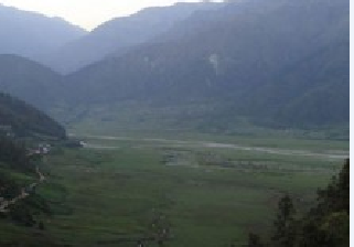 ढोरपाटनमा शिकारको याम सुरु, १० नाउर र ६ झारलको शिकार अनुमति