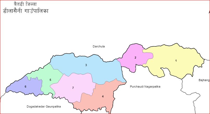 गाउँपालिका अध्यक्षमा दाजुभाइको उम्मेदवारी