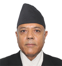 दैनिक कामकाजबाट चोलेन्द्र शम्शेर आउट, कामुमा कार्की