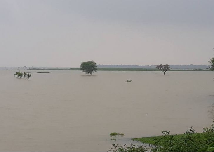 बाढी पहिरोबाट मृत्यु हुनेको संख्या ३३ पुग्यो,  उद्दारमा आठ हजार सुरक्षाकर्मी परिचालित