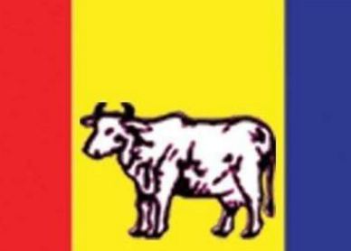 राप्रपाले छनोट गर्‍यो तीन प्रदेशसभा सदस्य