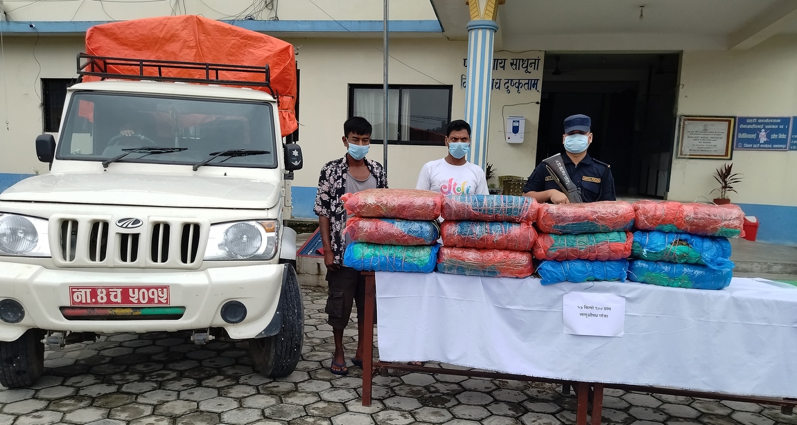 हेटौंडाबाट बारा लग्दै गरेको ५७ किलो गाँजासहित दुई जना पक्राउ