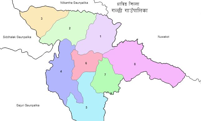 धादिङको गल्छी गाउँपालिकामा एमाले विजयी