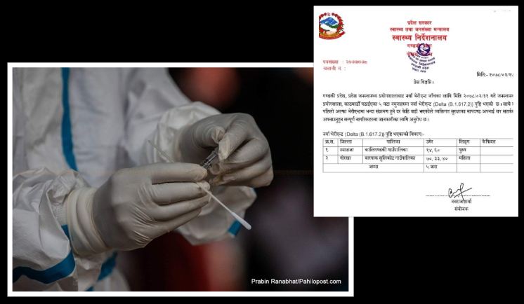 गण्डकीका दुई जिल्लामा नयाँ डेल्टा भेरिएन्ट पुष्टि!