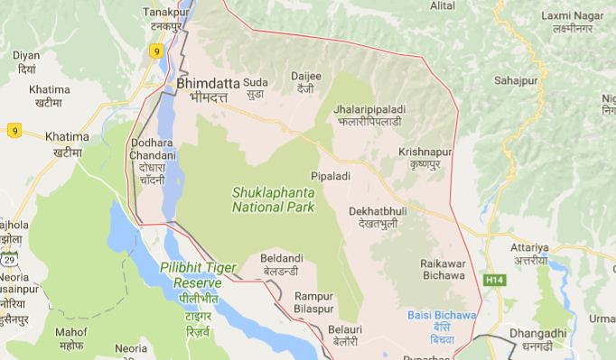नदीमा बग्दै गरेका दुईको उद्धार