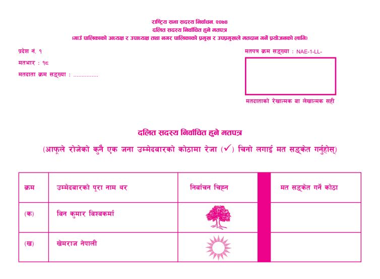 राष्ट्रिय सभा सदस्य निर्वाचनका लागि १२ हजार मतपत्र: मतपरिणाम तीन दिनभित्र 