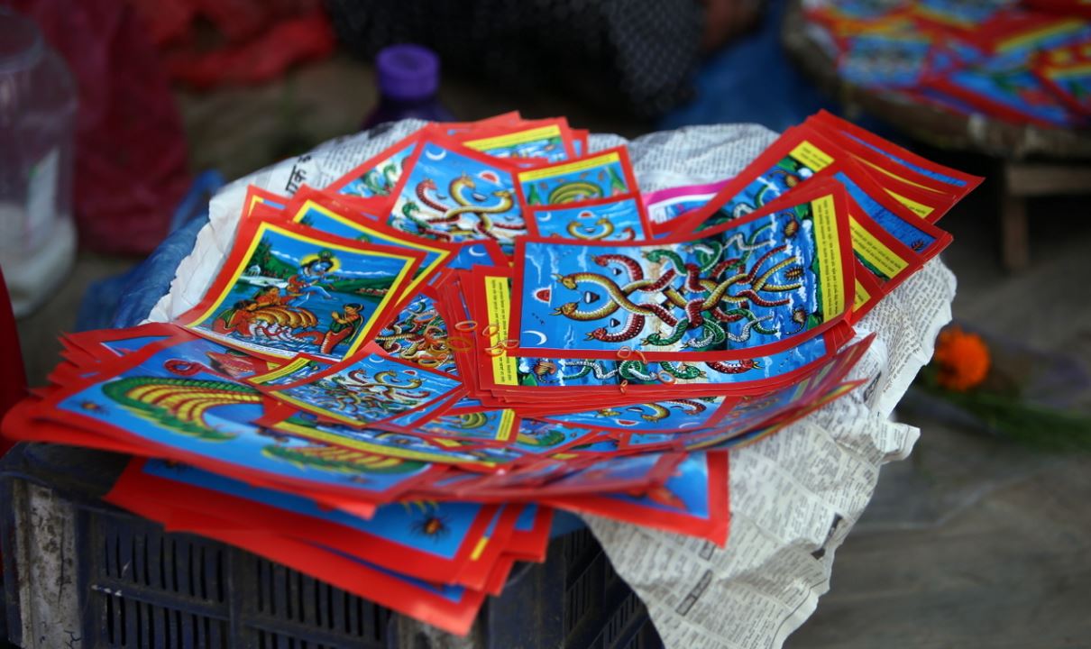 आज नागपञ्चमी, घर–घरमा नागको पूजा गरिँदै  