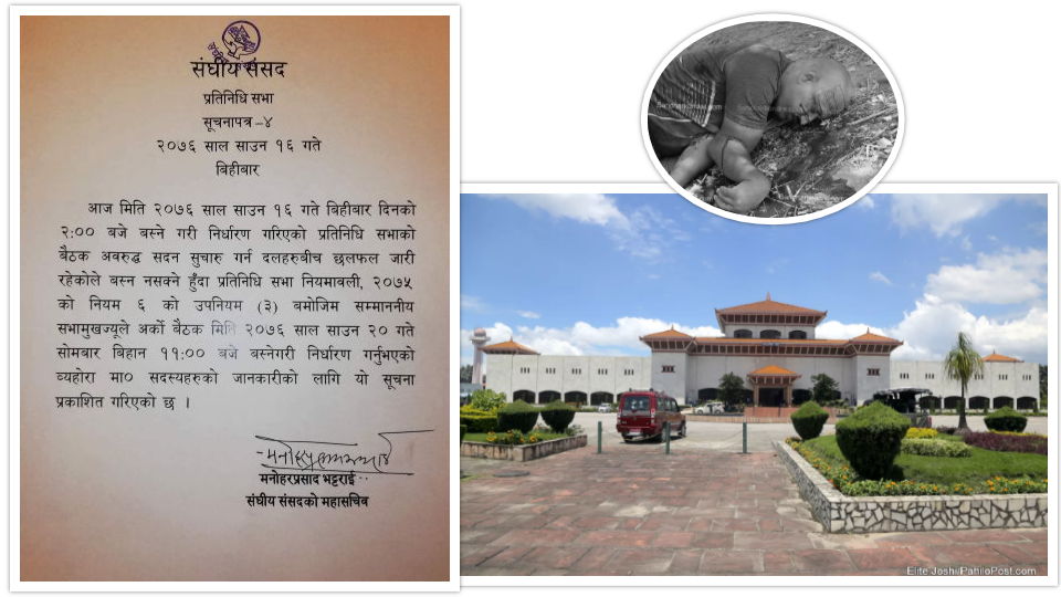सदन खुलाउने छलफलकै बीच साउन २० गतेलाई डाकियो संसद
