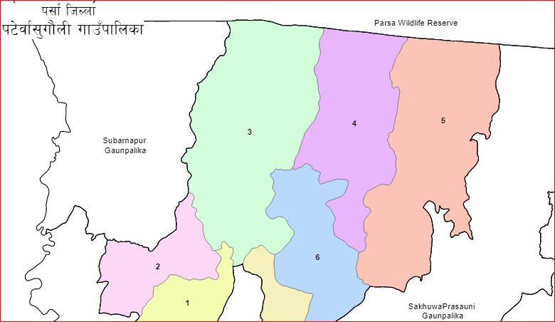 पर्साको पटेर्वासुगौलीमा पानीमा डुबेर दुई बालिकाको मृत्यु