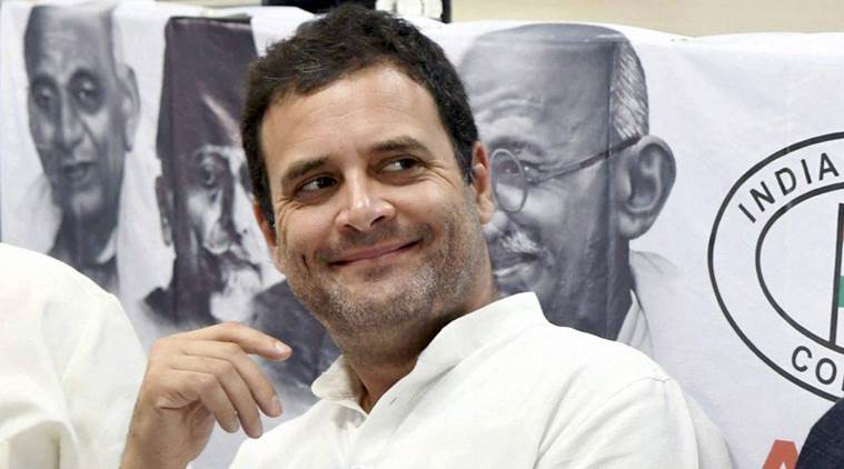 भारतीय कांग्रेस पार्टीको अध्यक्षमा राहुल गान्धी मनोनित
