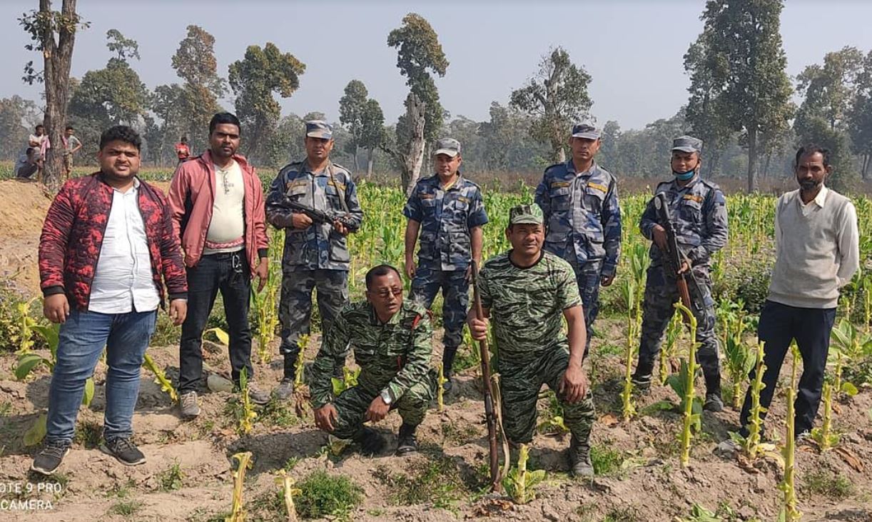 नेपालकै उत्कृष्ट साझेदारी वनको पुरस्कार पर्साको सबैयालाई