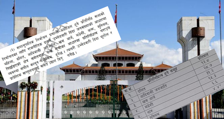 प्रमाणीकरणको मसी नसुक्दै प्रतिनिधिसभा विधेयकमा किन भयो संशोधनको माग?