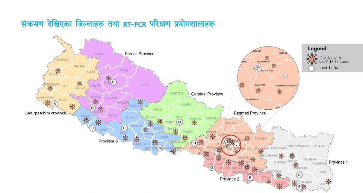 तथ्यांकमा कोरोना भाइरस : कुल संक्रमित मध्ये ७६ प्रतिशत काम गर्ने उमेर समूहका 