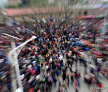 सेतो मछिन्द्रनाथको रथयात्रामा यस्तो देखियो
