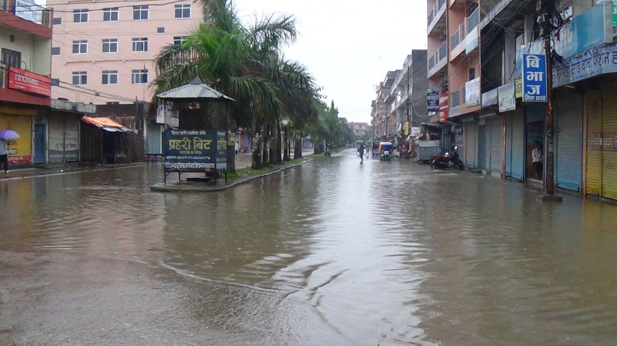 बाढी-पहिरोबाट मृत्यु हुनेको संख्या १४३ पुग्यो