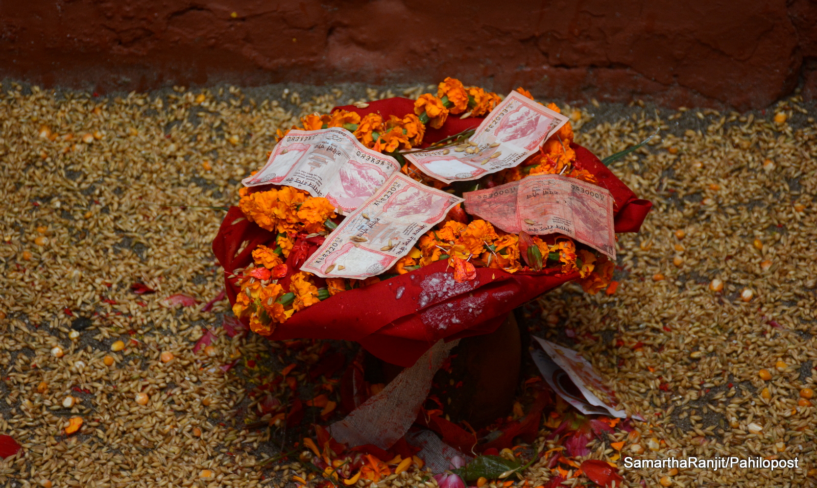 बडादशैं शुरु, घरघरमा घटस्थापना, हराउँदै नवरथ जाने चलन