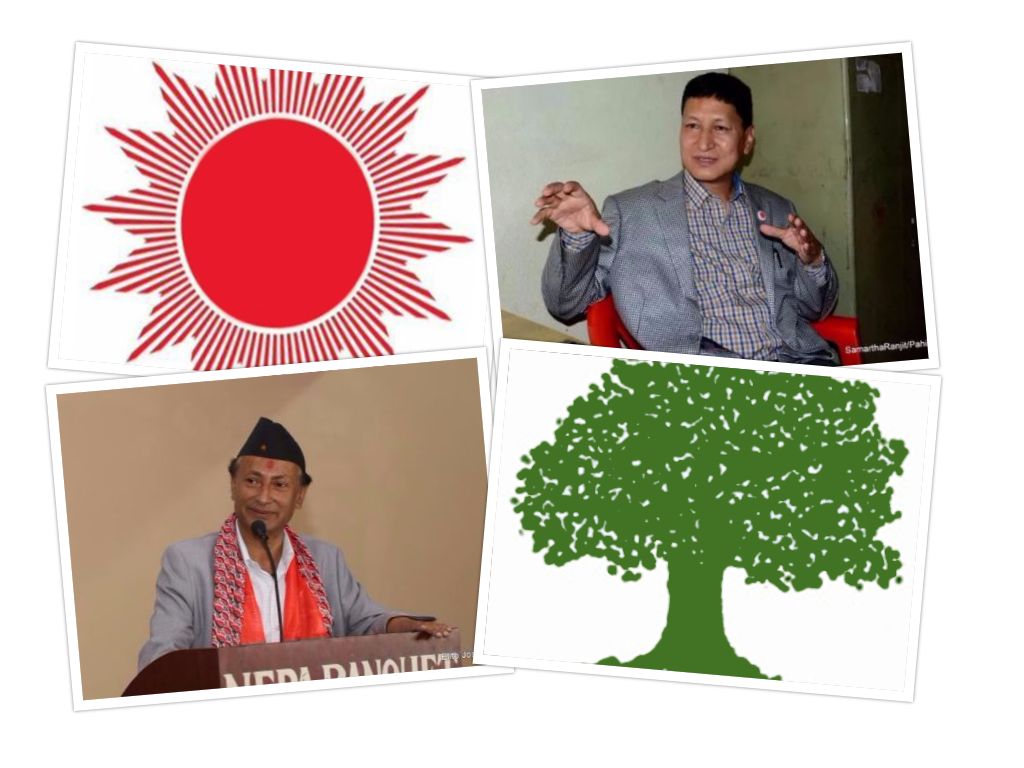 काठमाडौँ महानगरमा एमालेका विद्यासुन्दरलाई ९ हजार मतको अग्रता